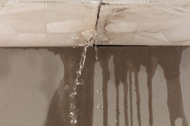 Professional Structural Drying technician working in Arcadia, MI